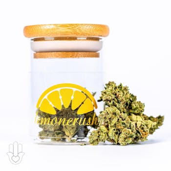 Lemon Crush (SALE)
